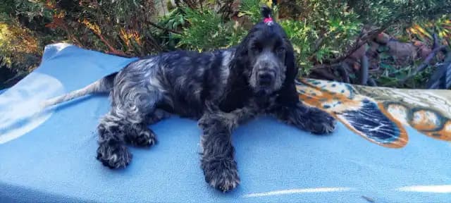 carousel-image-mobile-1