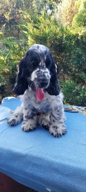 carousel-image-mobile-4