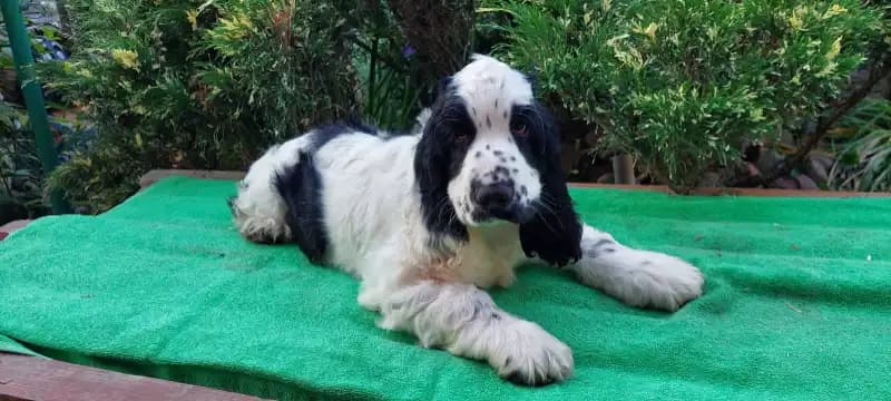 carousel-image-mobile-5