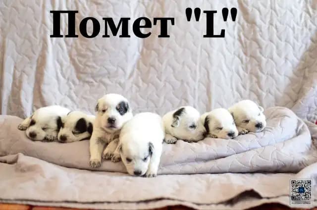 carousel-image-mobile-1