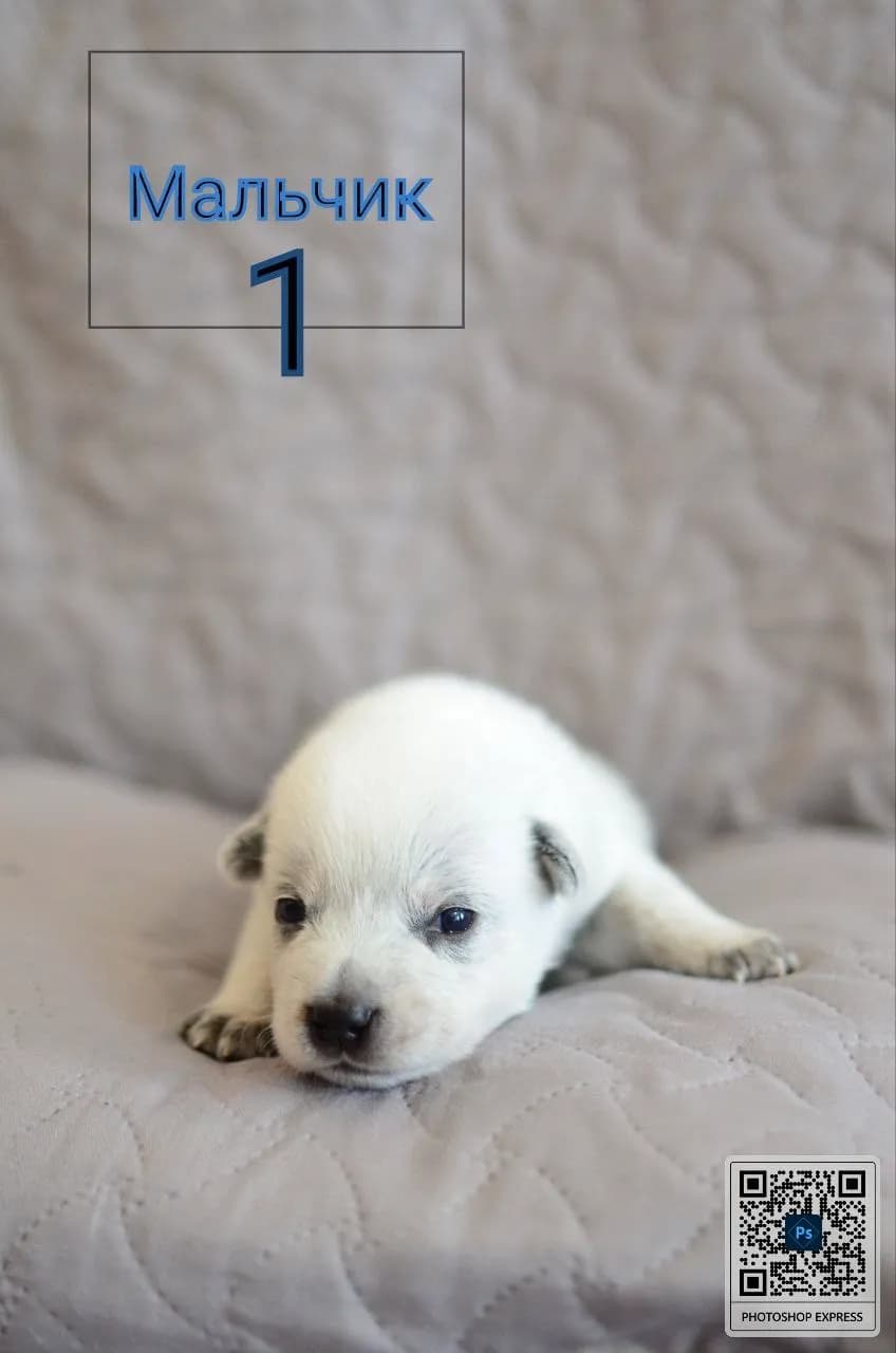 carousel-image-mobile-2