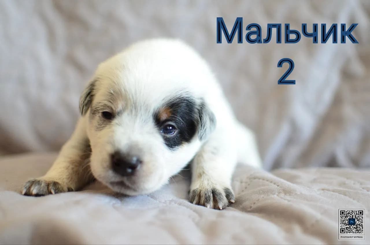 carousel-image-mobile-3