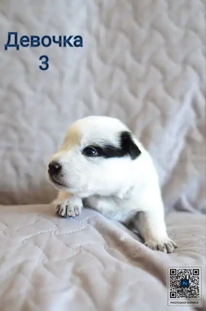 carousel-image-mobile-4