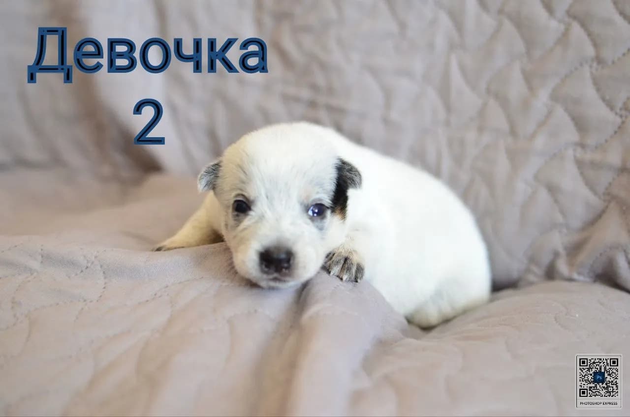 carousel-image-mobile-5