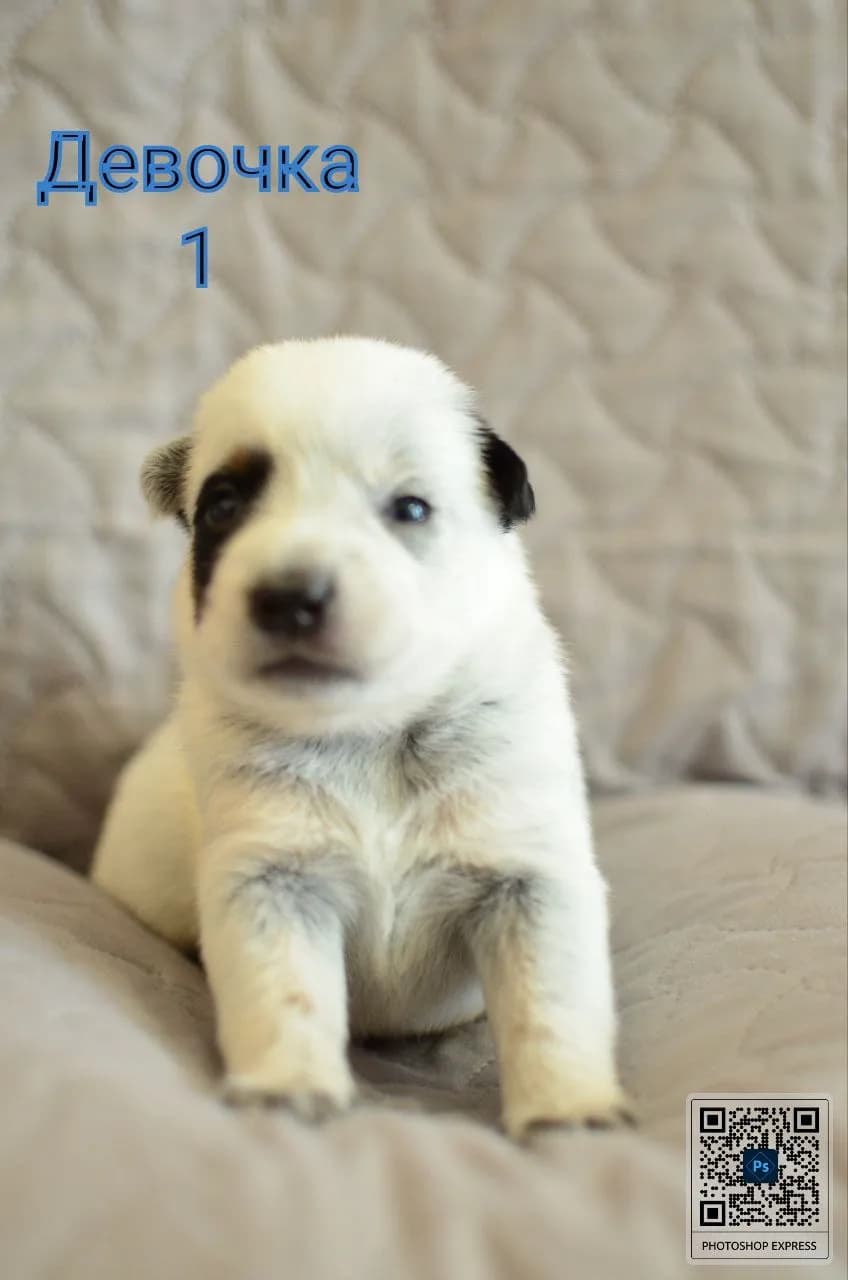 carousel-image-mobile-6