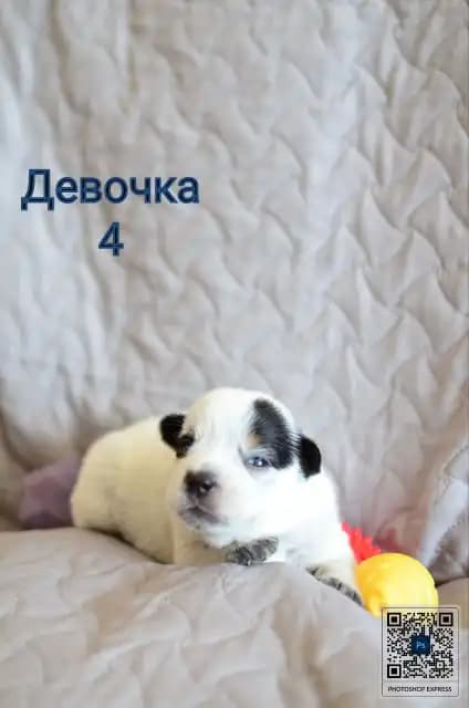 carousel-image-mobile-7