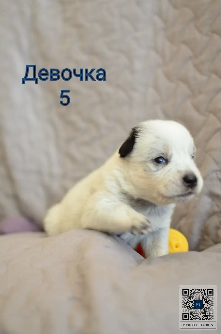 carousel-image-mobile-8