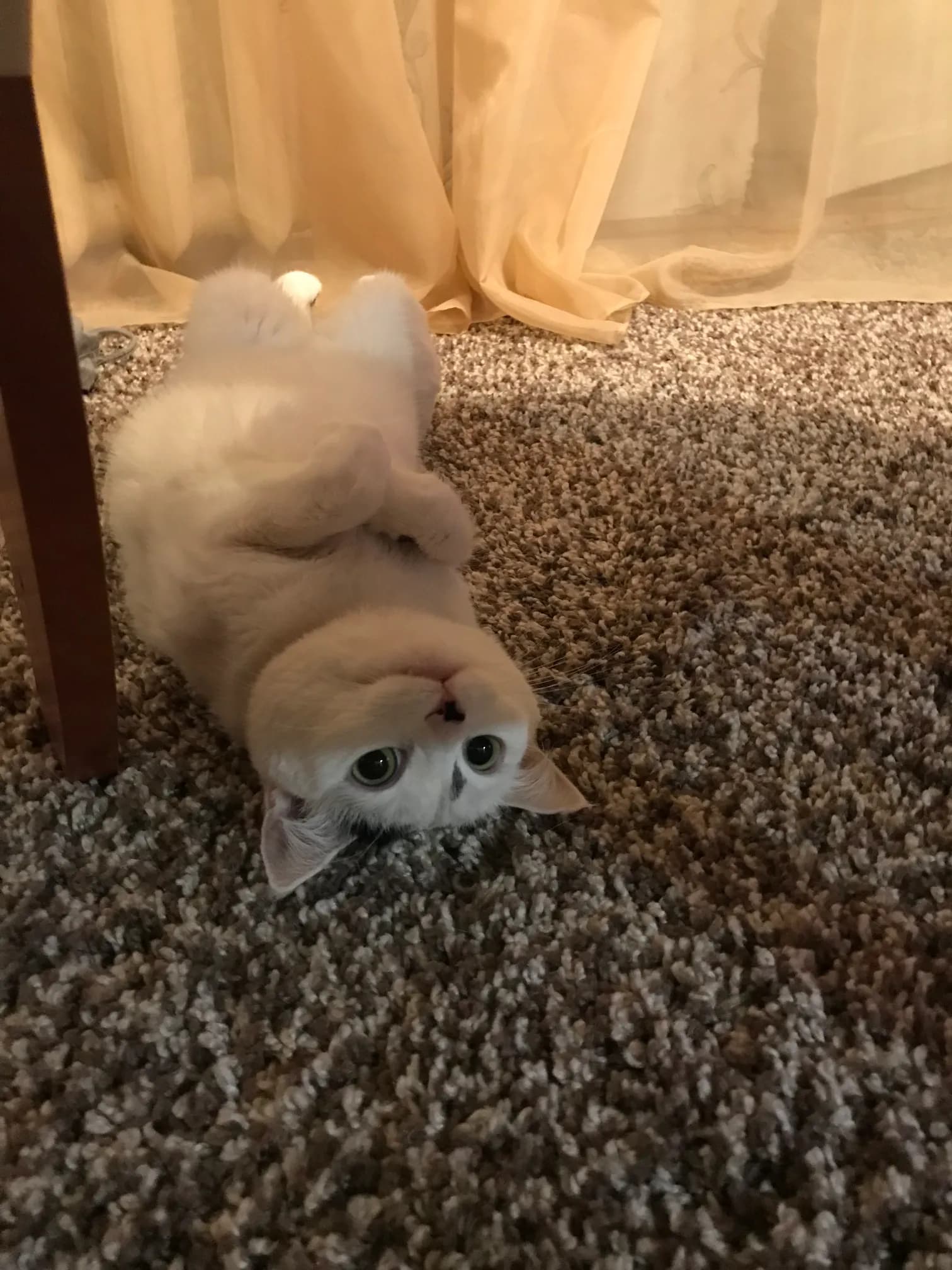 carousel-image-mobile-1