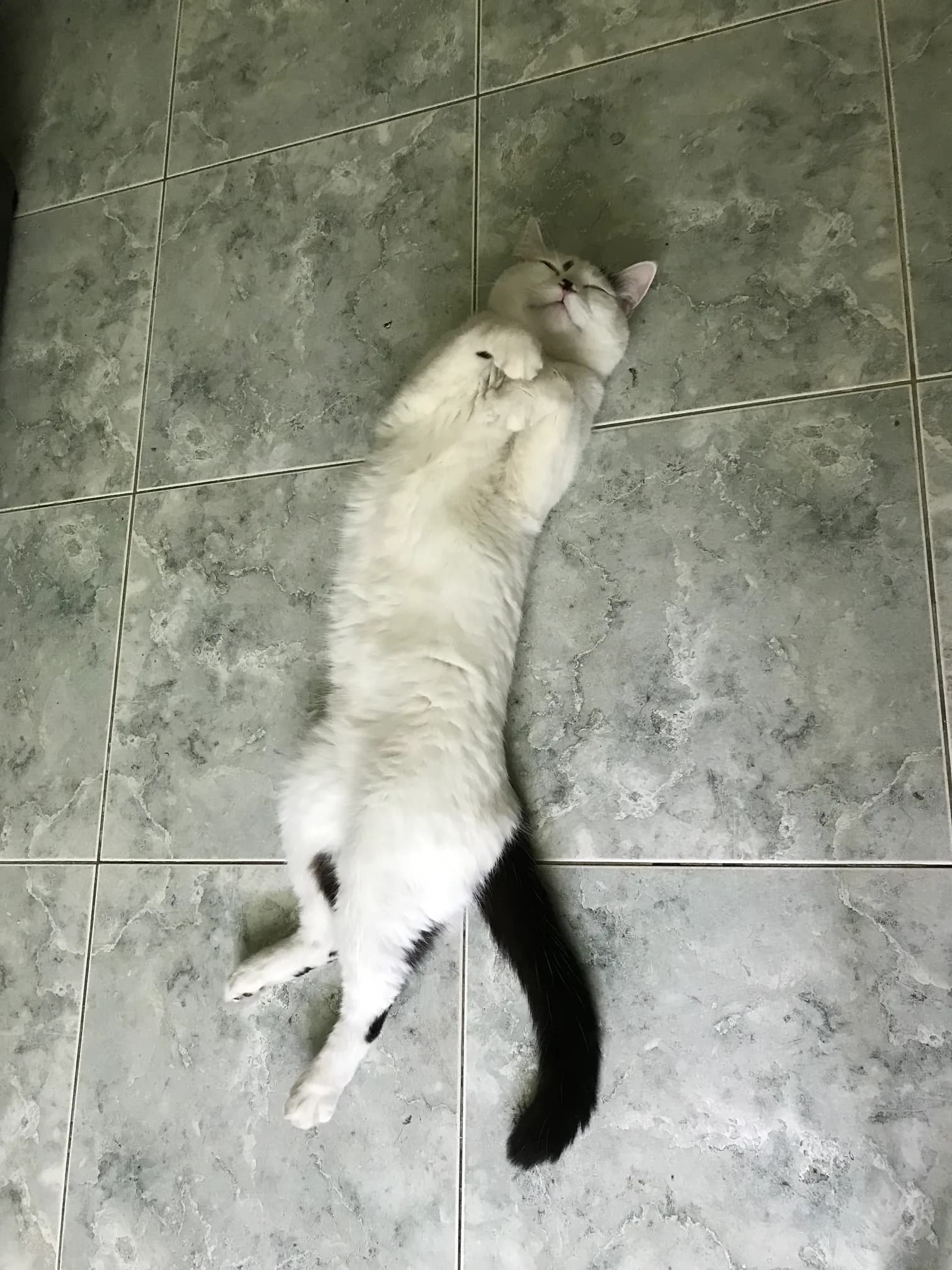 carousel-image-mobile-3