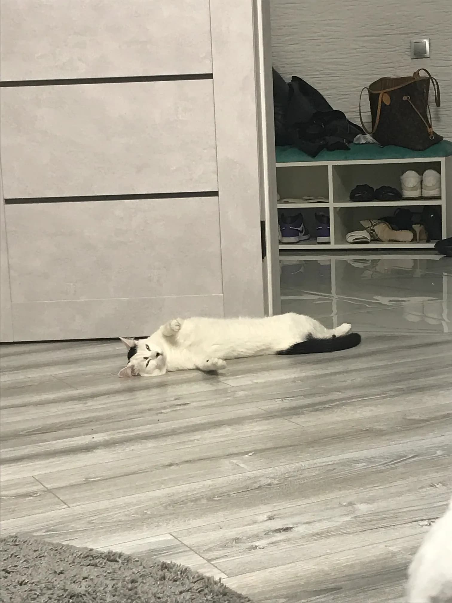 carousel-image-mobile-4