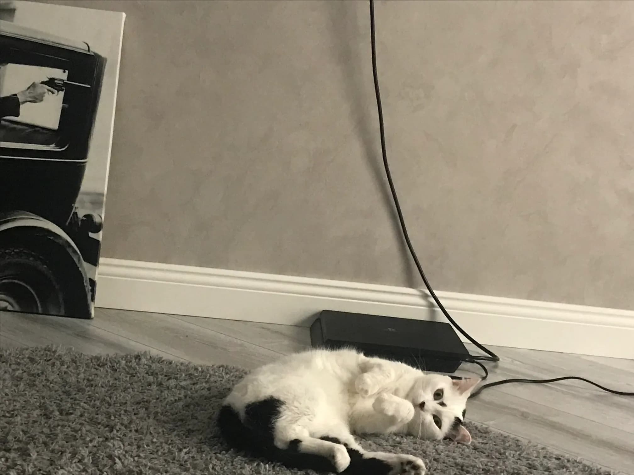 carousel-image-mobile-5