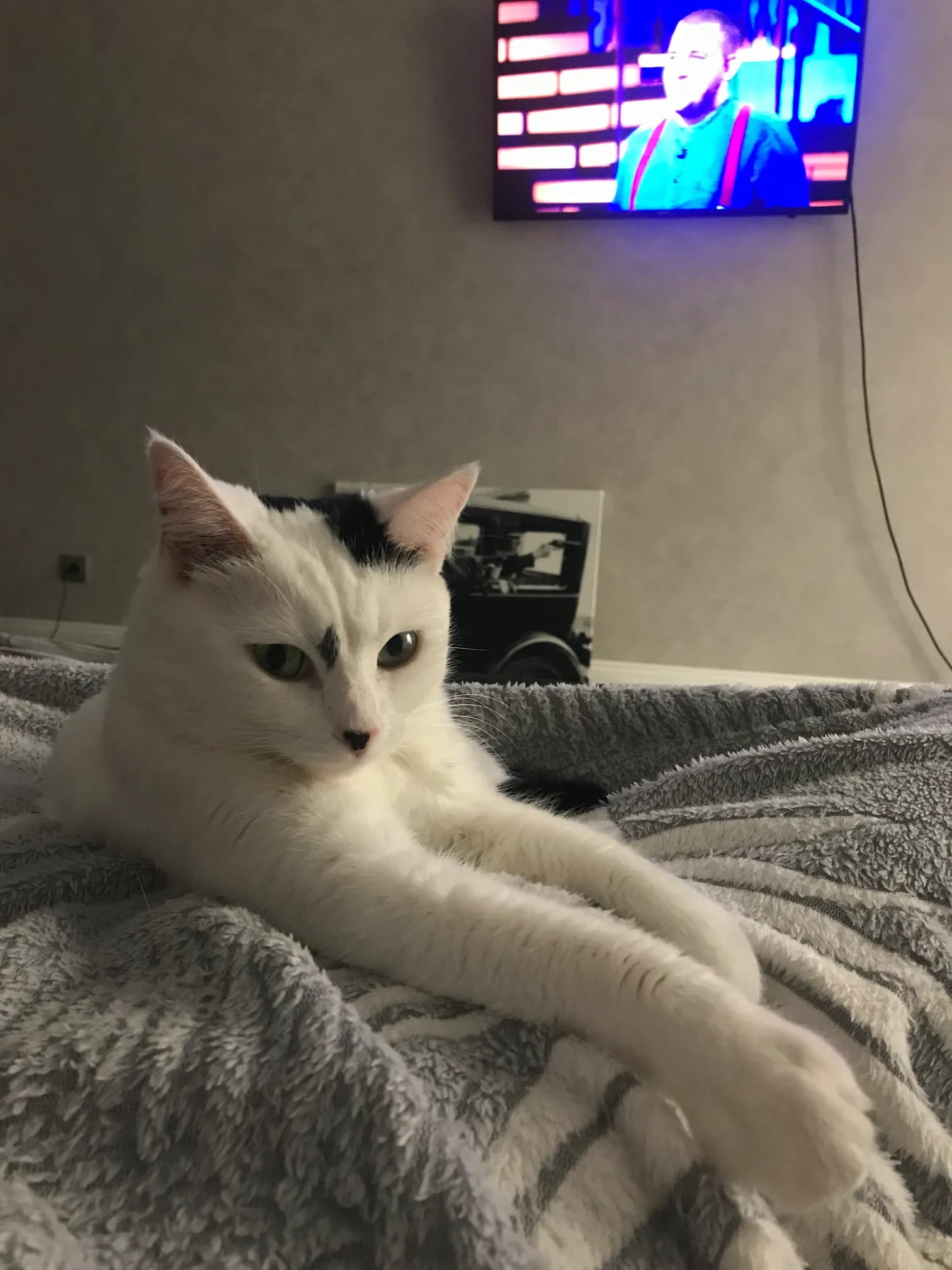 carousel-image-mobile-6