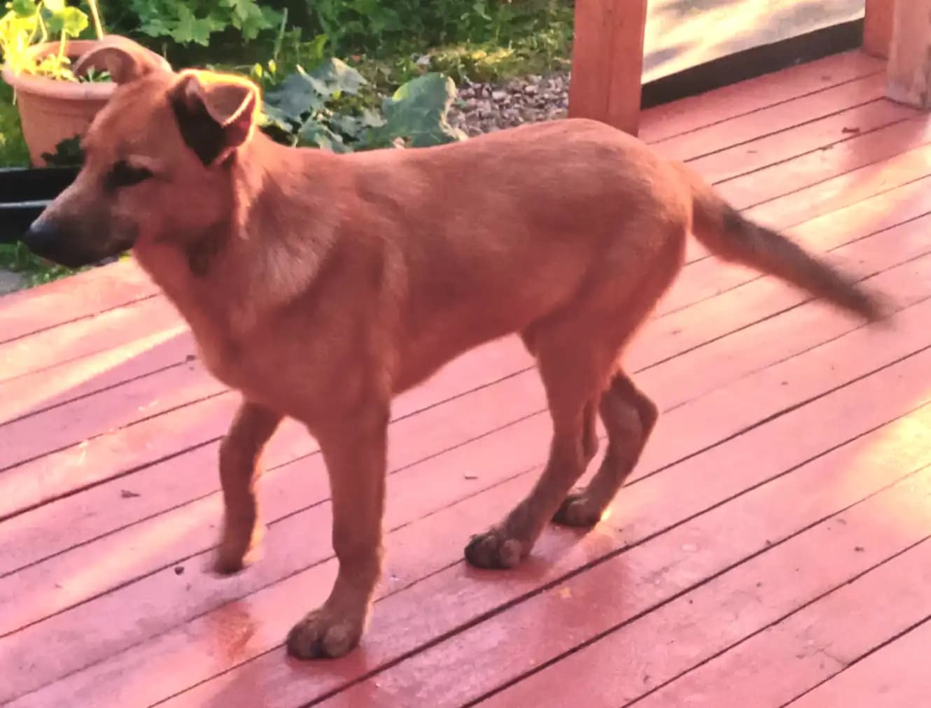 carousel-image-mobile-1