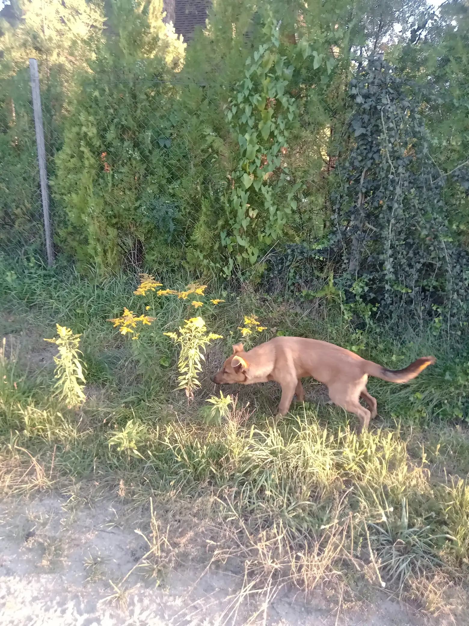 carousel-image-mobile-2