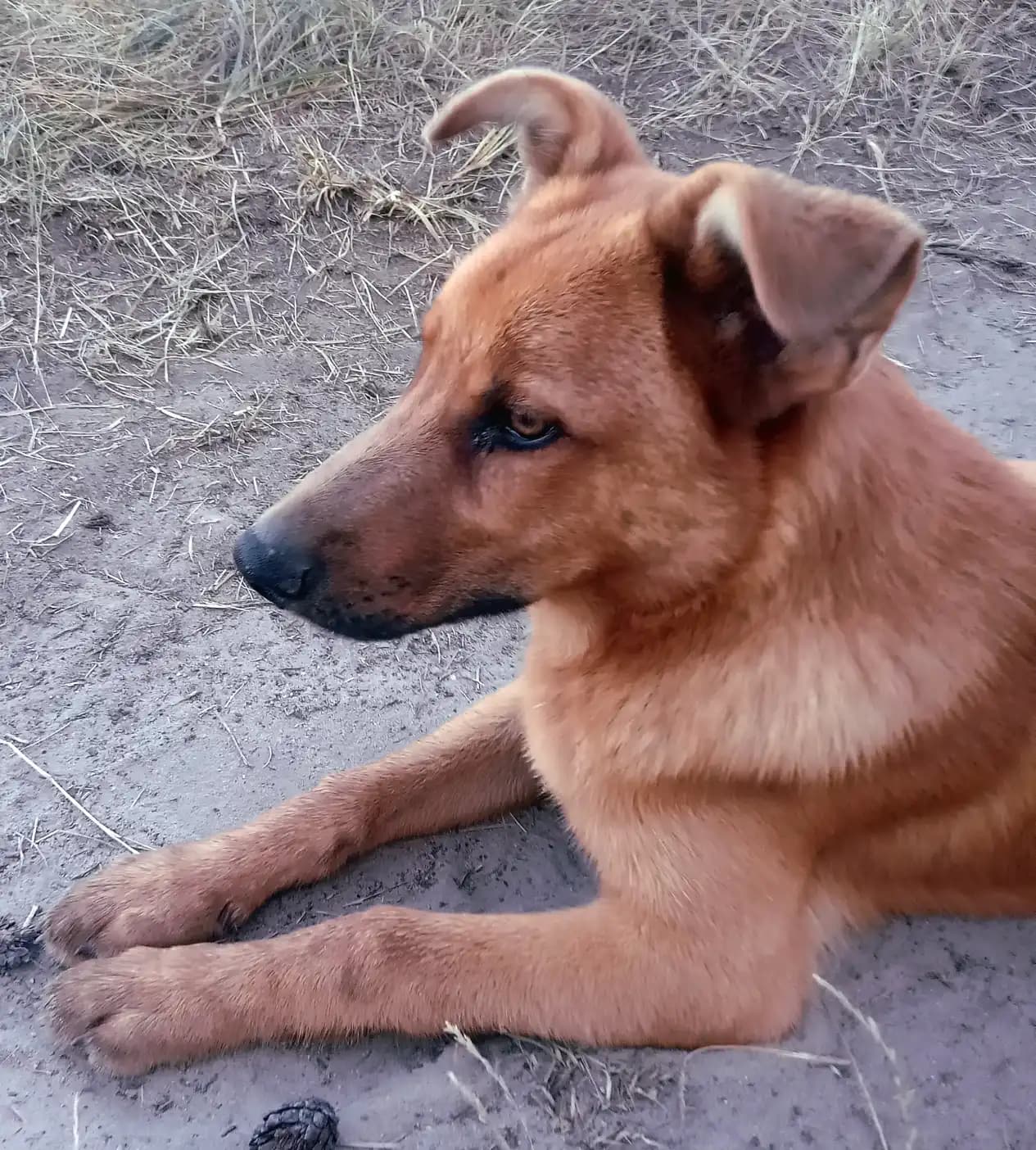 carousel-image-mobile-3