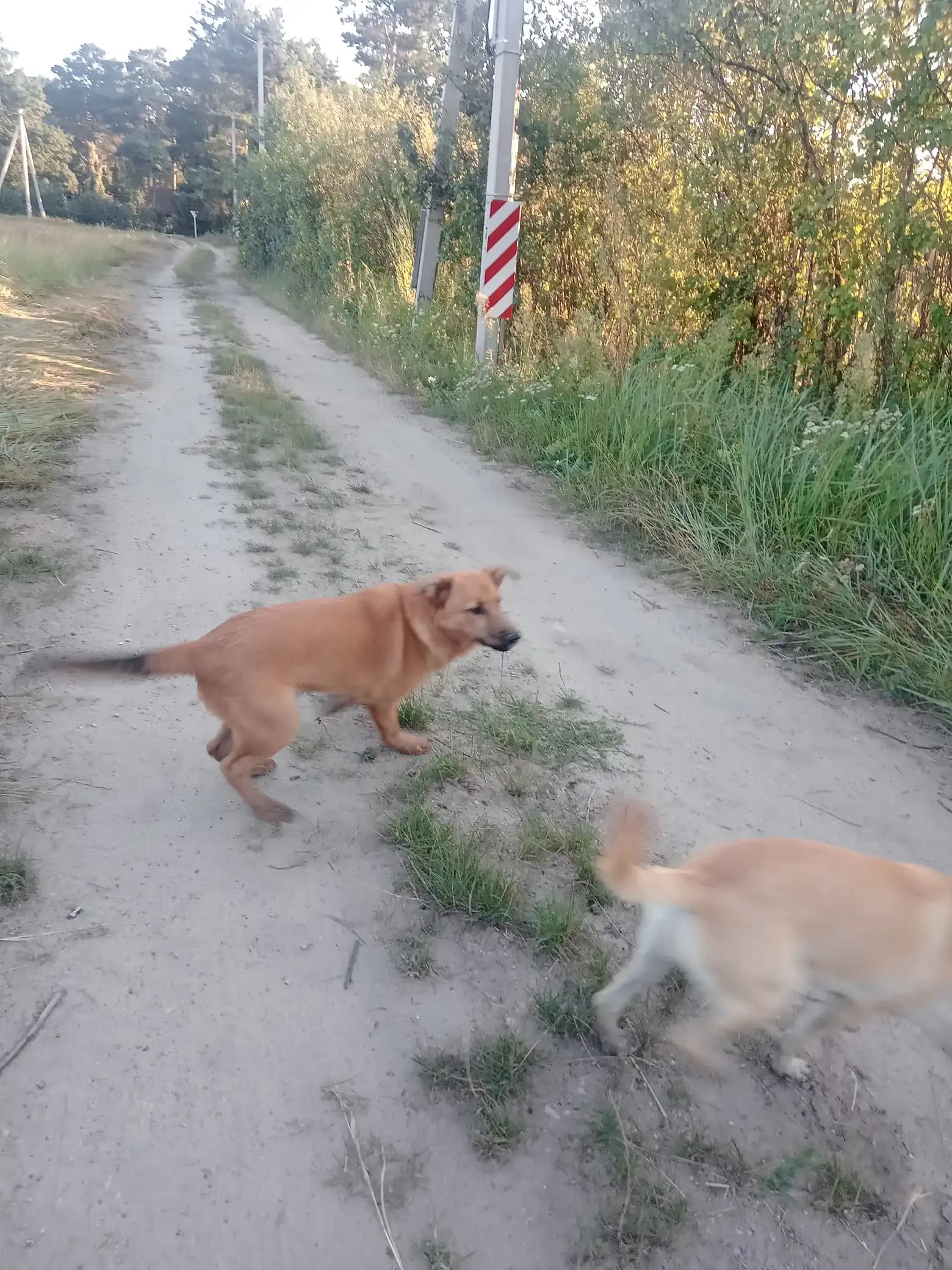 carousel-image-mobile-4