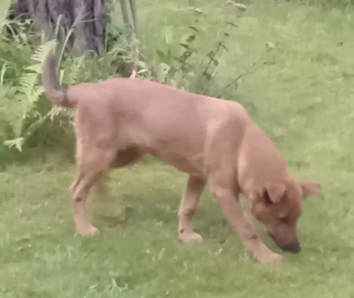 carousel-image-mobile-5