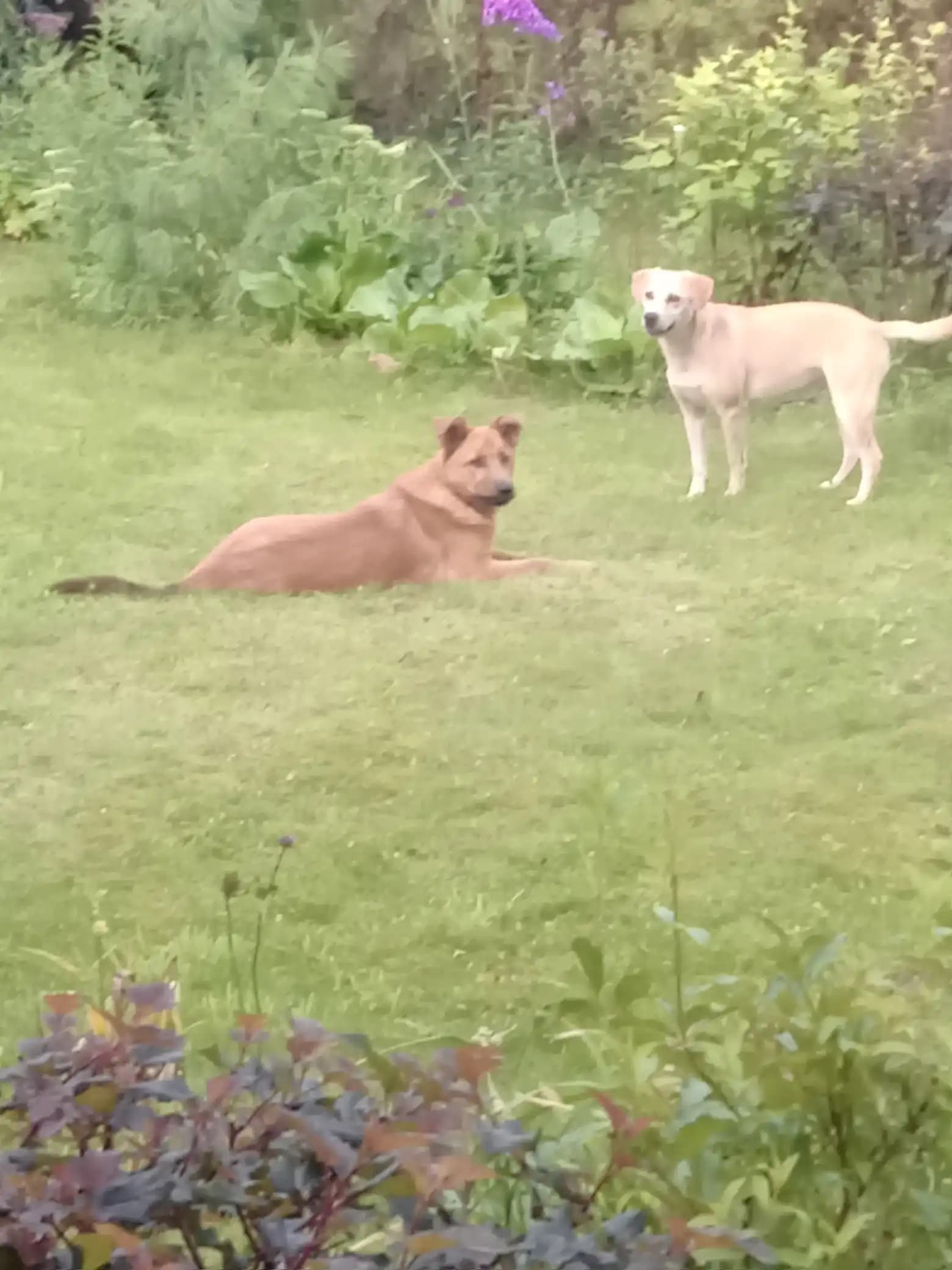 carousel-image-mobile-6