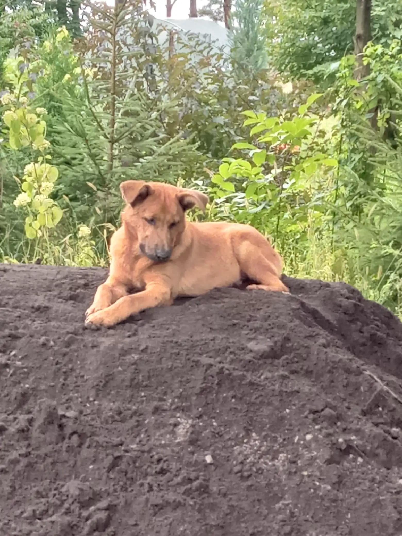 carousel-image-mobile-7