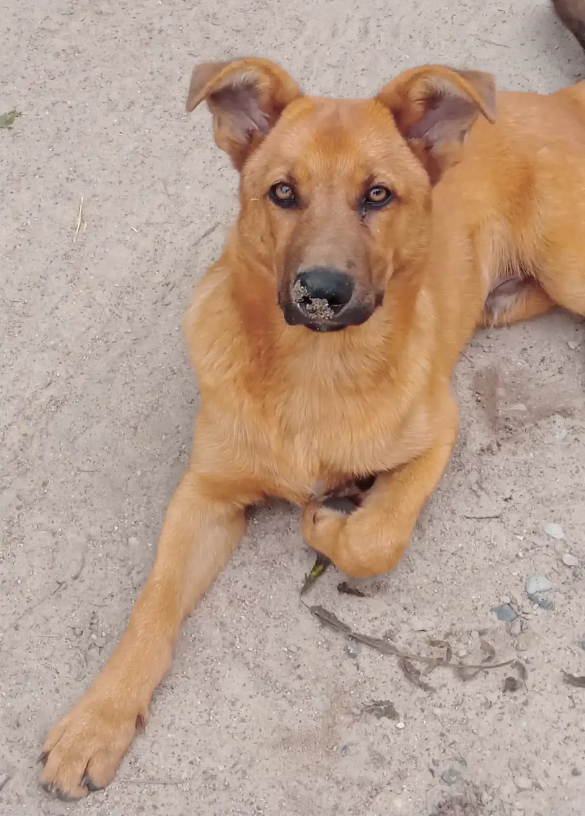 carousel-image-mobile-8