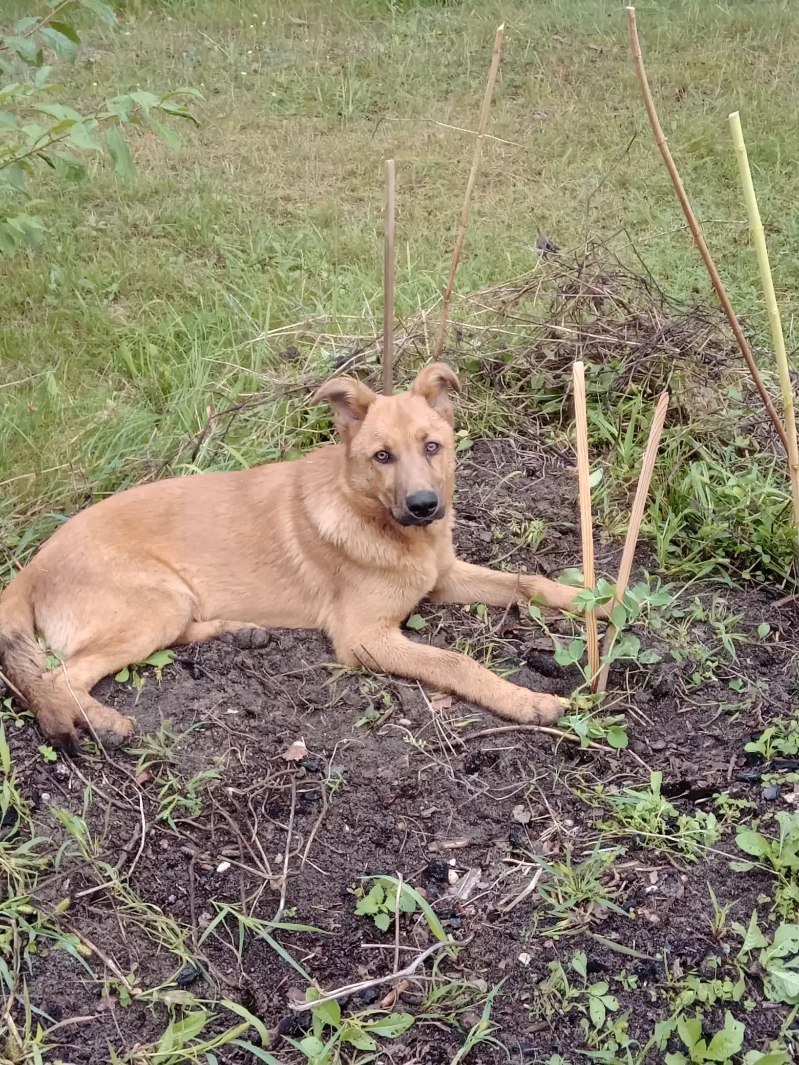 carousel-image-mobile-9