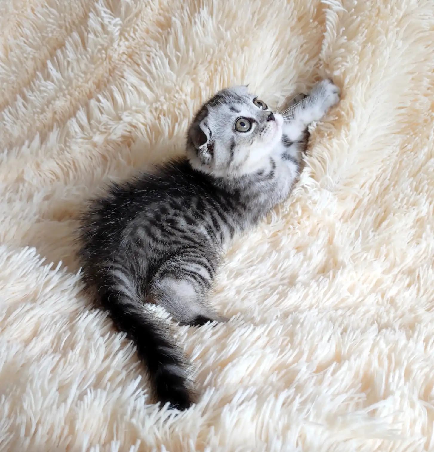 carousel-image-mobile-2