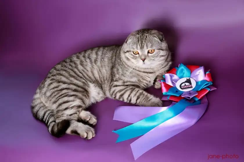 carousel-image-mobile-3