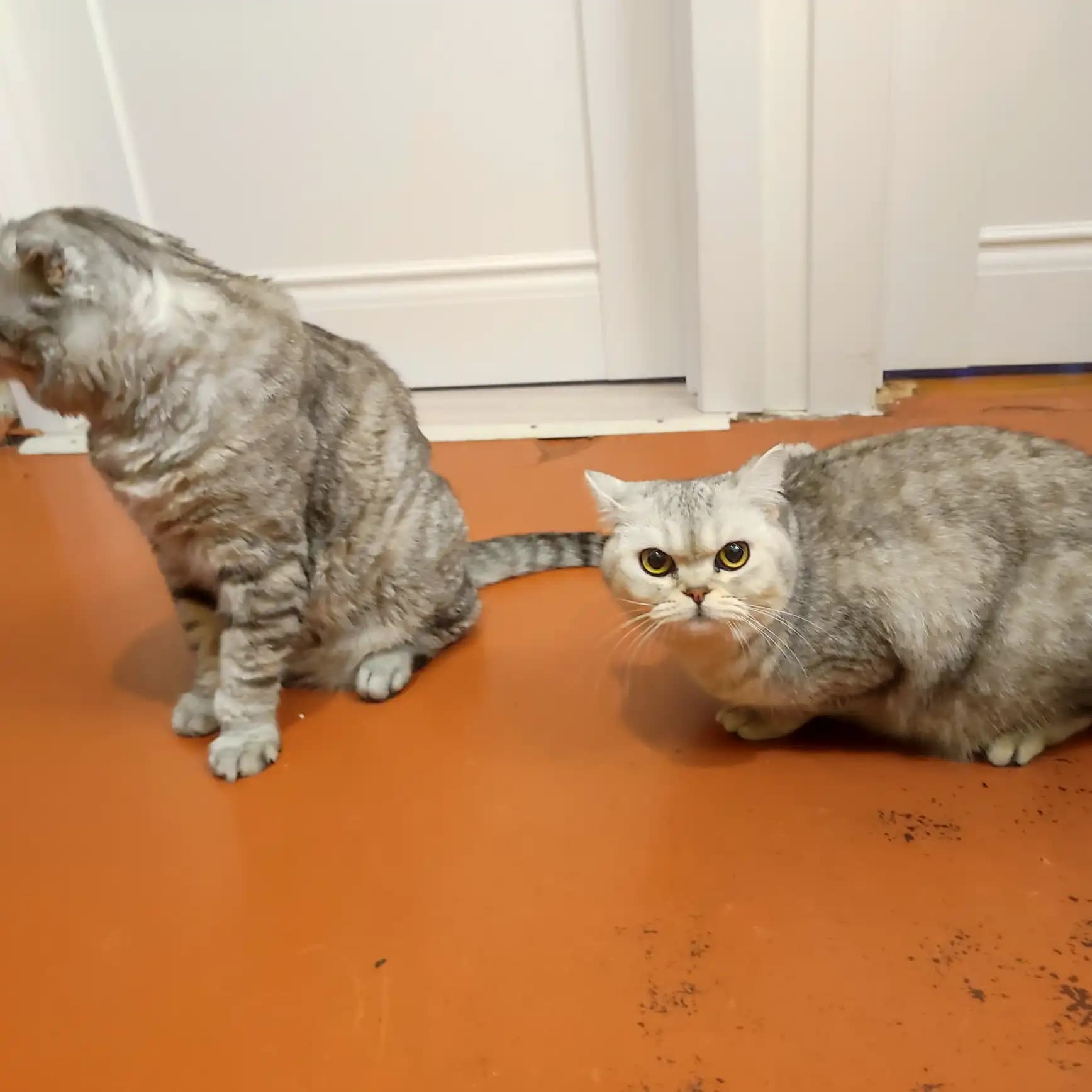 carousel-image-mobile-4