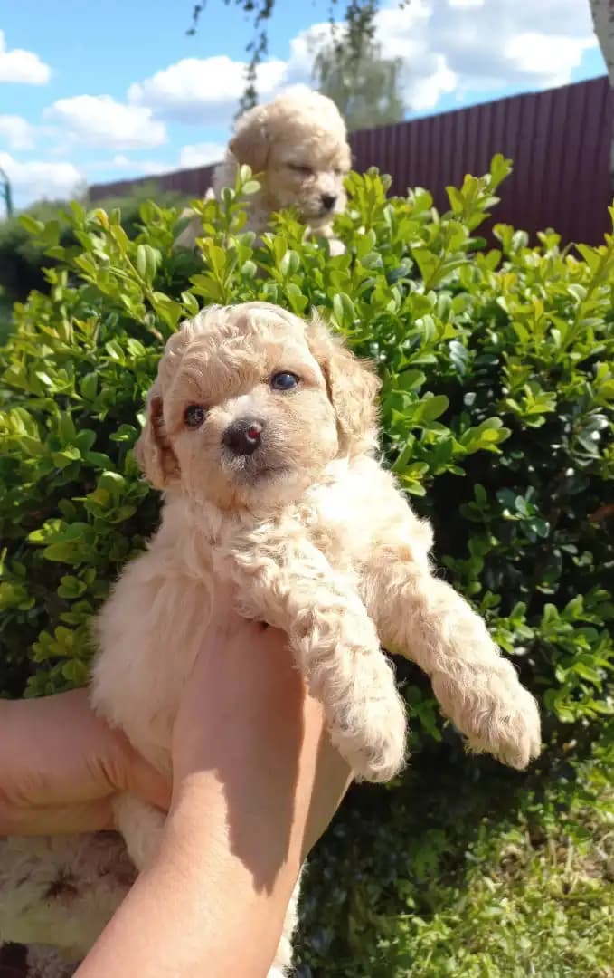 carousel-image-mobile-1