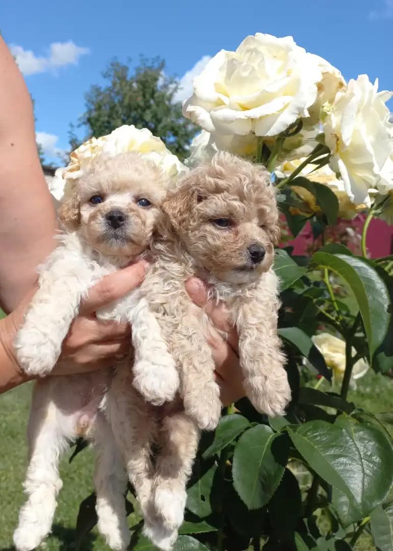 carousel-image-mobile-2