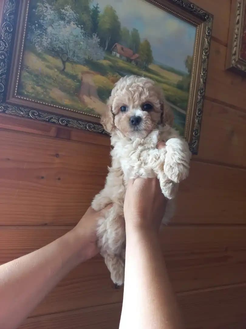 carousel-image-mobile-3