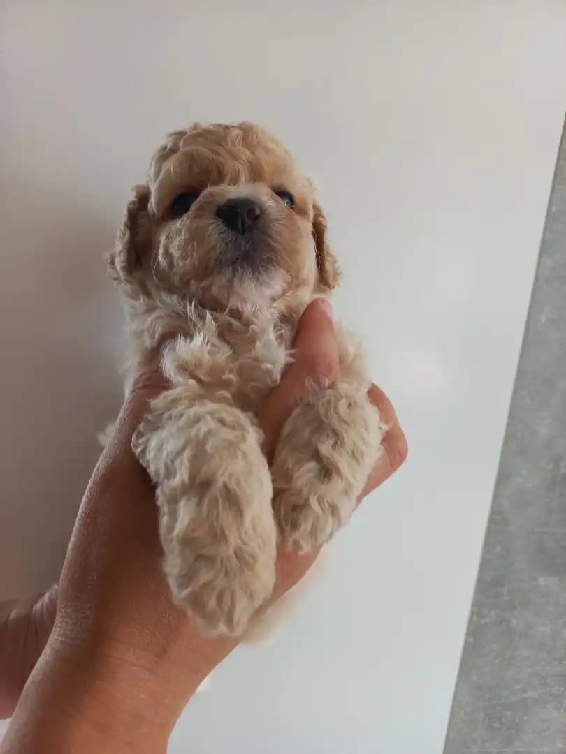 carousel-image-mobile-4