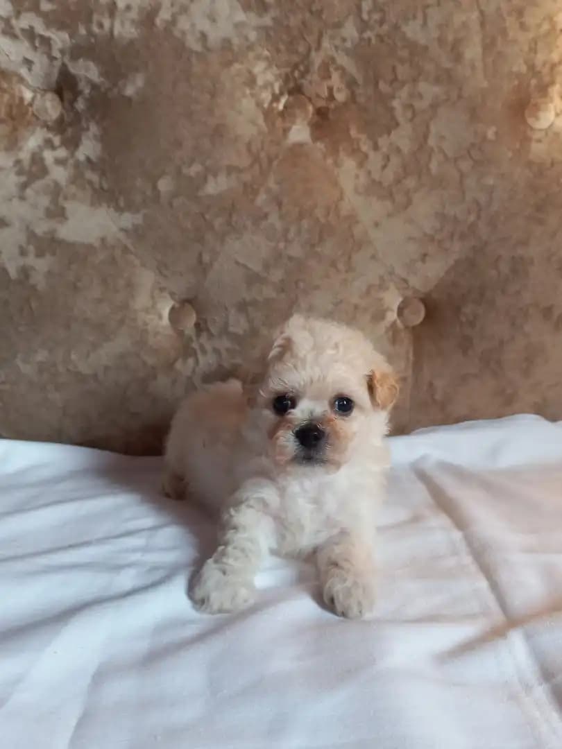 carousel-image-mobile-5