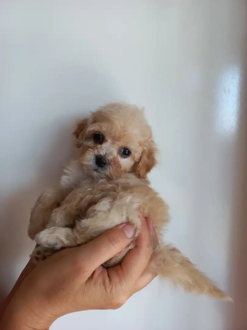 carousel-image-mobile-6