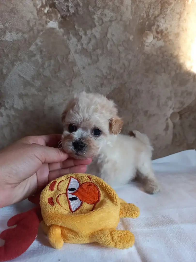 carousel-image-mobile-7