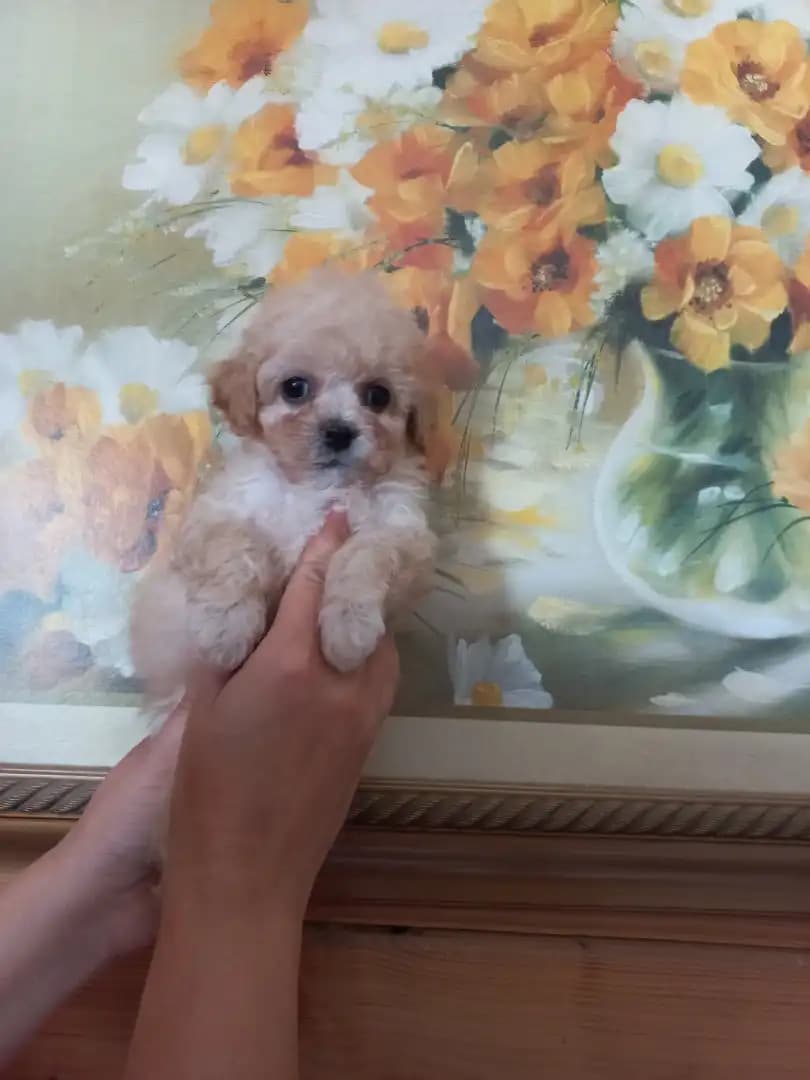 carousel-image-mobile-8