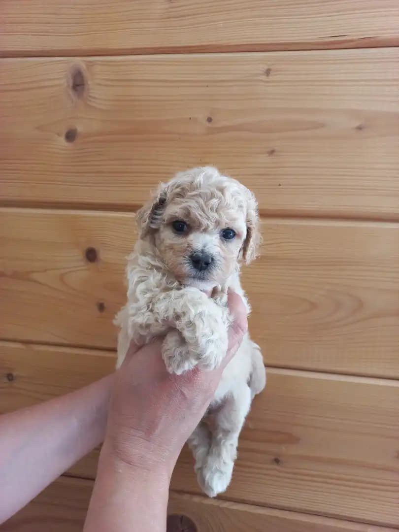 carousel-image-mobile-9