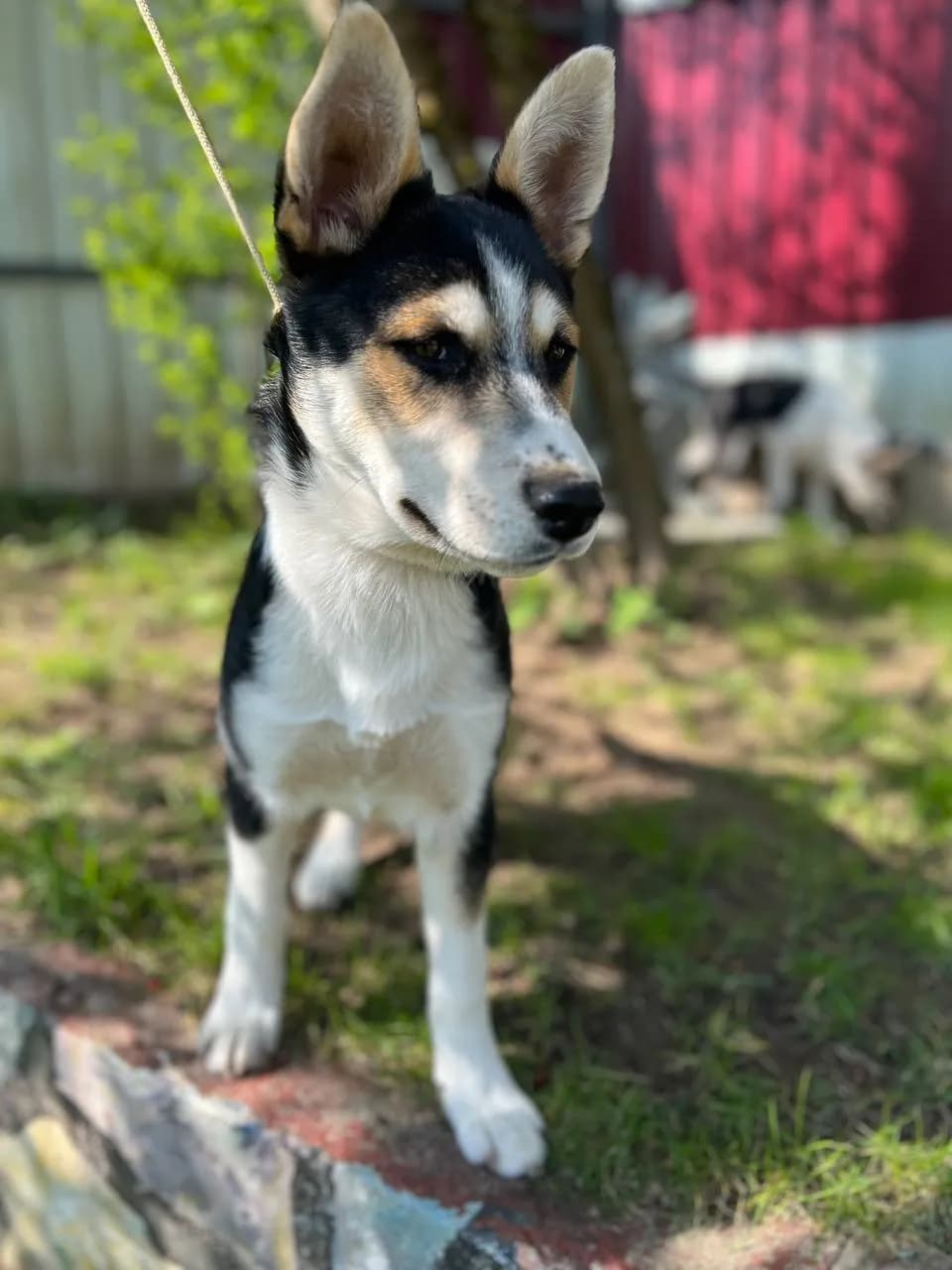 carousel-image-mobile-1