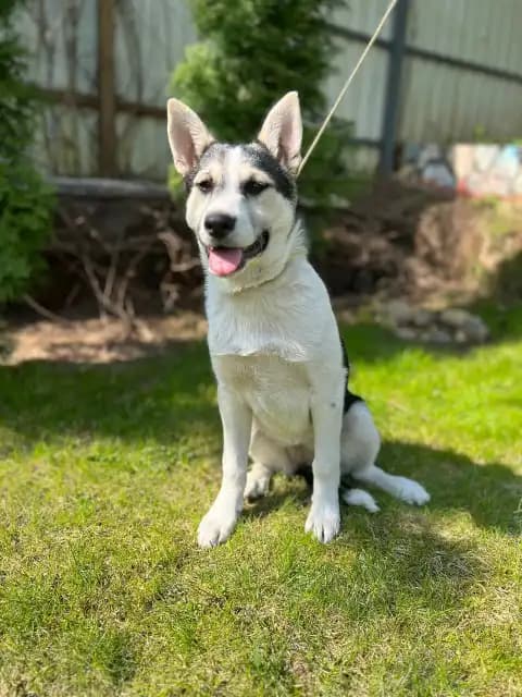 carousel-image-mobile-2