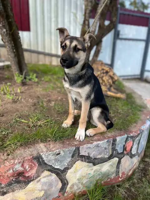 carousel-image-mobile-3