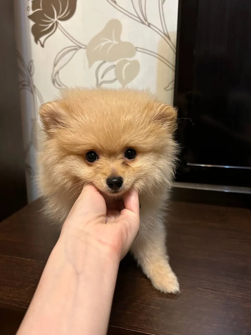 carousel-image-mobile-1