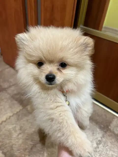 carousel-image-mobile-2