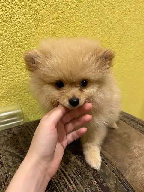 carousel-image-mobile-5