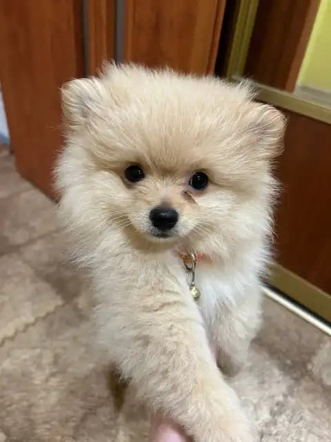 carousel-image-mobile-7