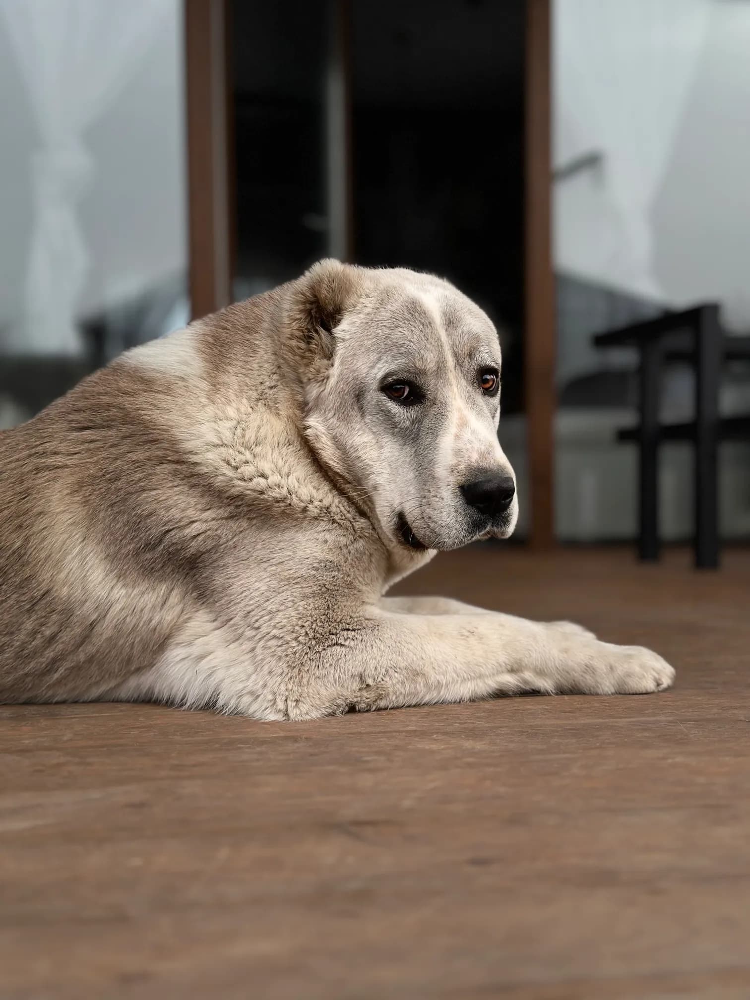 carousel-image-mobile-1