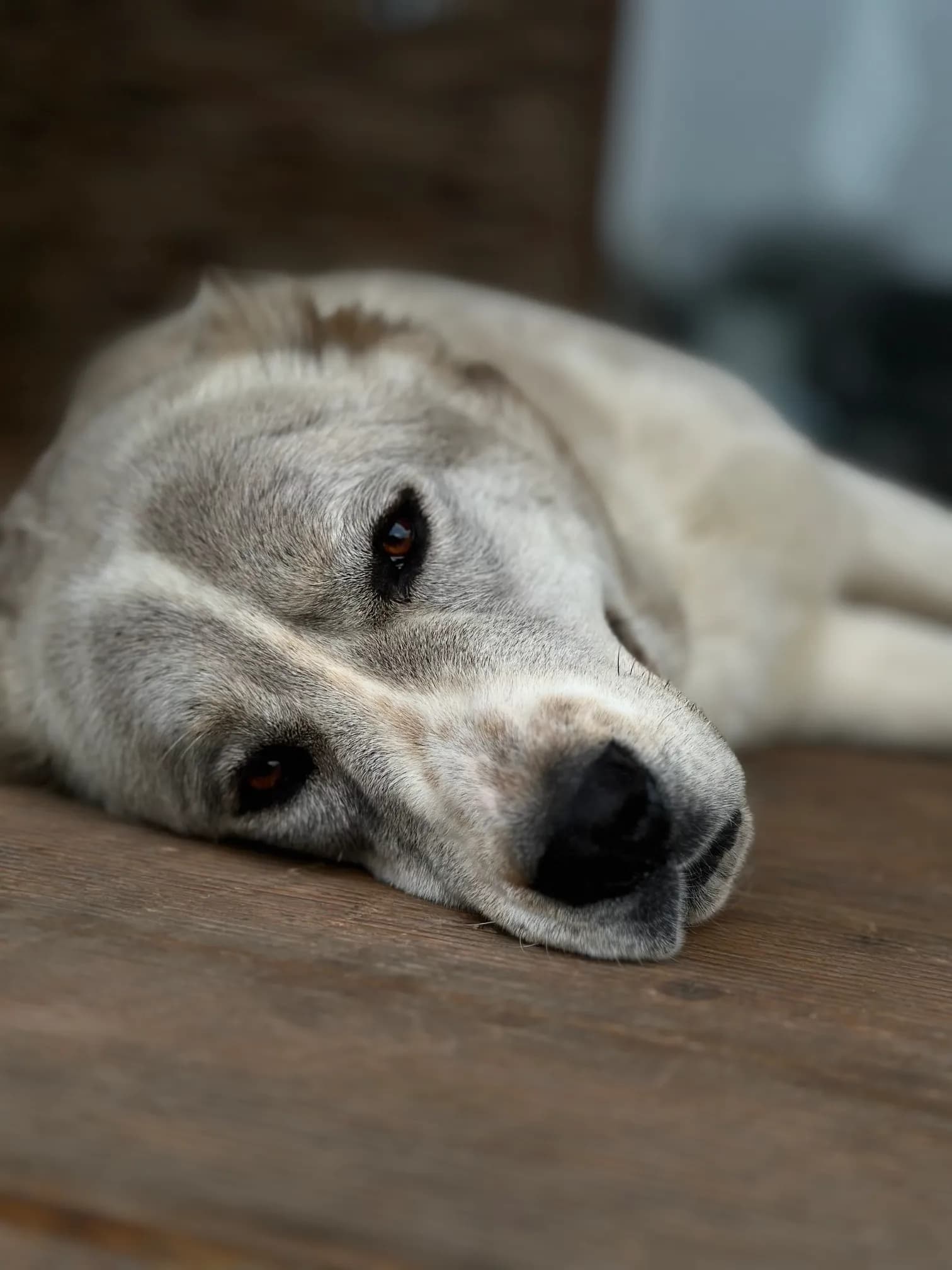 carousel-image-mobile-2