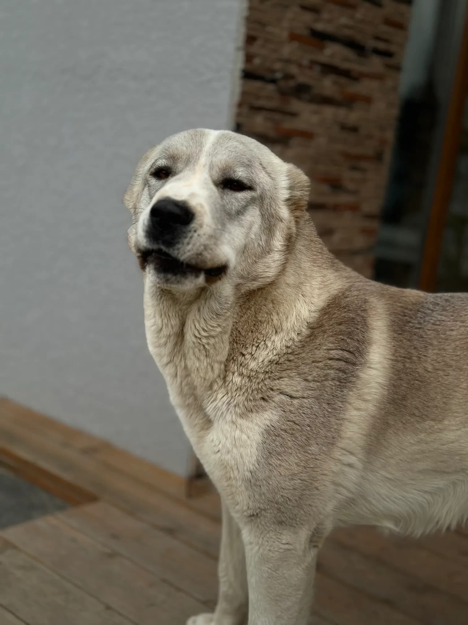 carousel-image-mobile-3