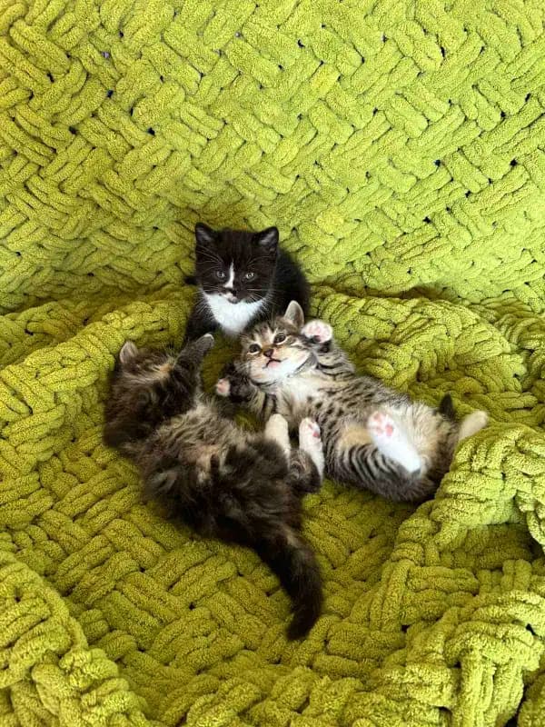 carousel-image-mobile-1