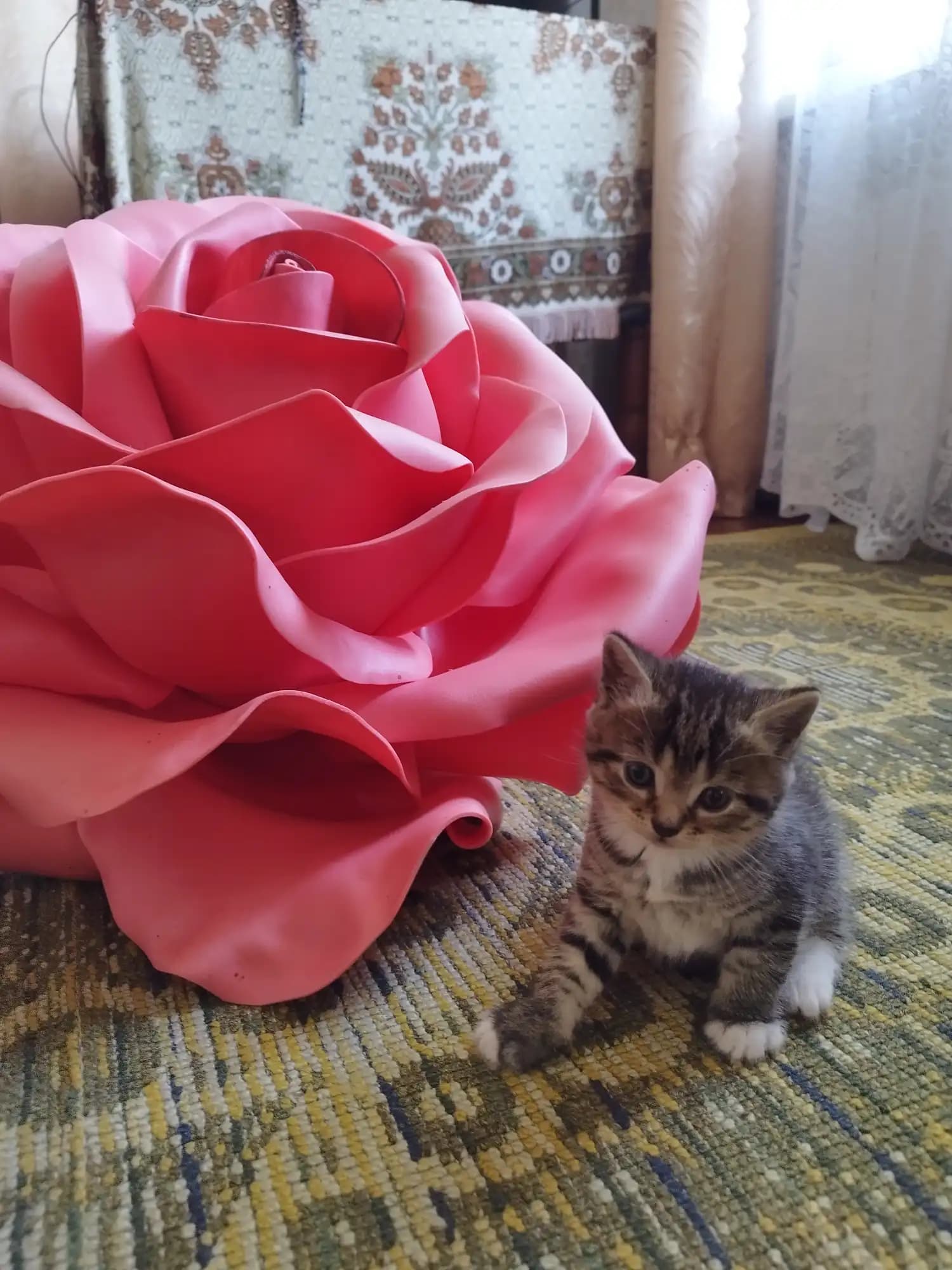 carousel-image-mobile-3