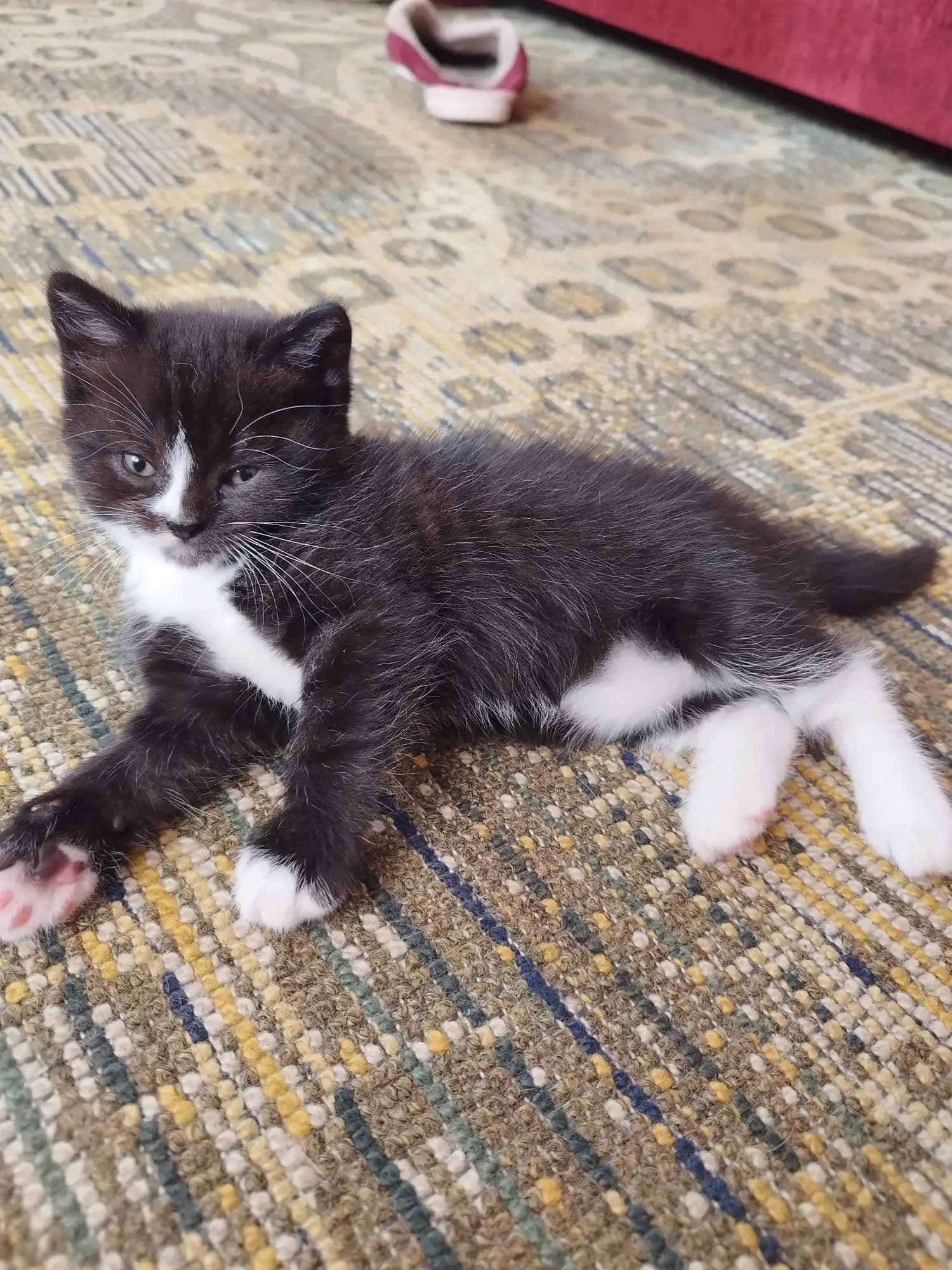 carousel-image-mobile-5